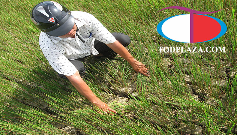 Hiện tượng El Nino tại Việt Nam